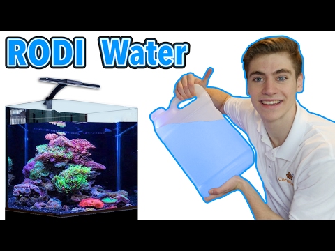 RODI Water For Your College Reef Tank - Best RODI Machine for Beginners!