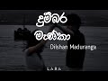 Dumbara manika (දුම්බර මැණිකා) - Dilshan Maduranga | Lyrics Video | Lara's lyrics