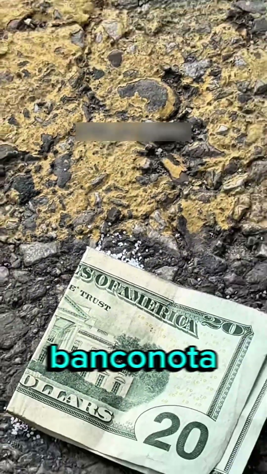 Cuan itu seru dan bikin ngakak! 😄 Siapa yang mau tahu rahasia di balik viralnya konten lucu? 🤑