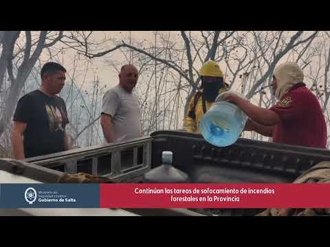 Continúan las tareas de sofocamiento de incendios forestales en la Provincia