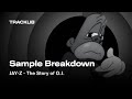 Sample Breakdown JAY Z The Story Of O J