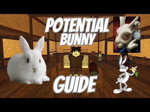 The Solo POTENTIAL BUNNY GUIDE (An Average Campaign)
