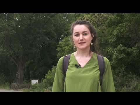 Film prezentare Comuna Rediu