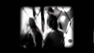 Steriogram NZOWN Interview (Full)