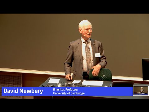 Thumbnail for David Newbery: Contract design for electricity markets by David Newbery