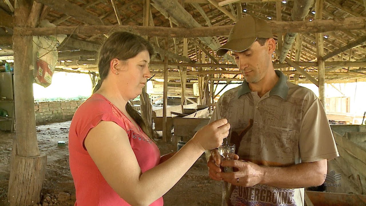 Homeopatia - Tratamento de verrugas em animais