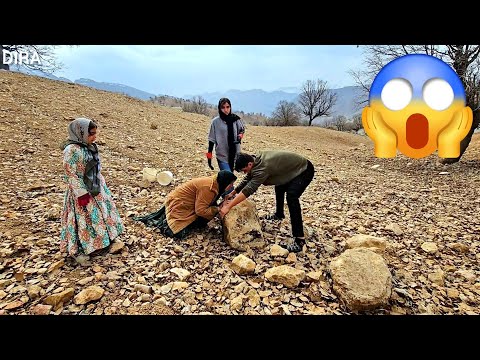 The Amazing DIRA Family on the Farm: From Fire to Tractor—The Day They Brought the Land Back to Life