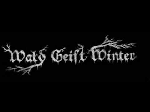 Wald Geist Winter -  Winterpest