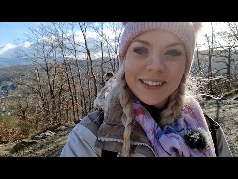 🌲 Wohin des Weges #25- Wernigerode - Agnesberg - Wildtiergehege  [HARZ]