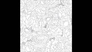 ELEGY OF ME - Metamorphosis