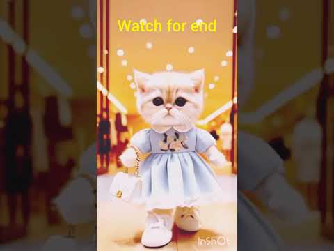 cat lover minaz #cat #catlover #cartoon #funny #trending #trendingshorts #youtubeshorts
