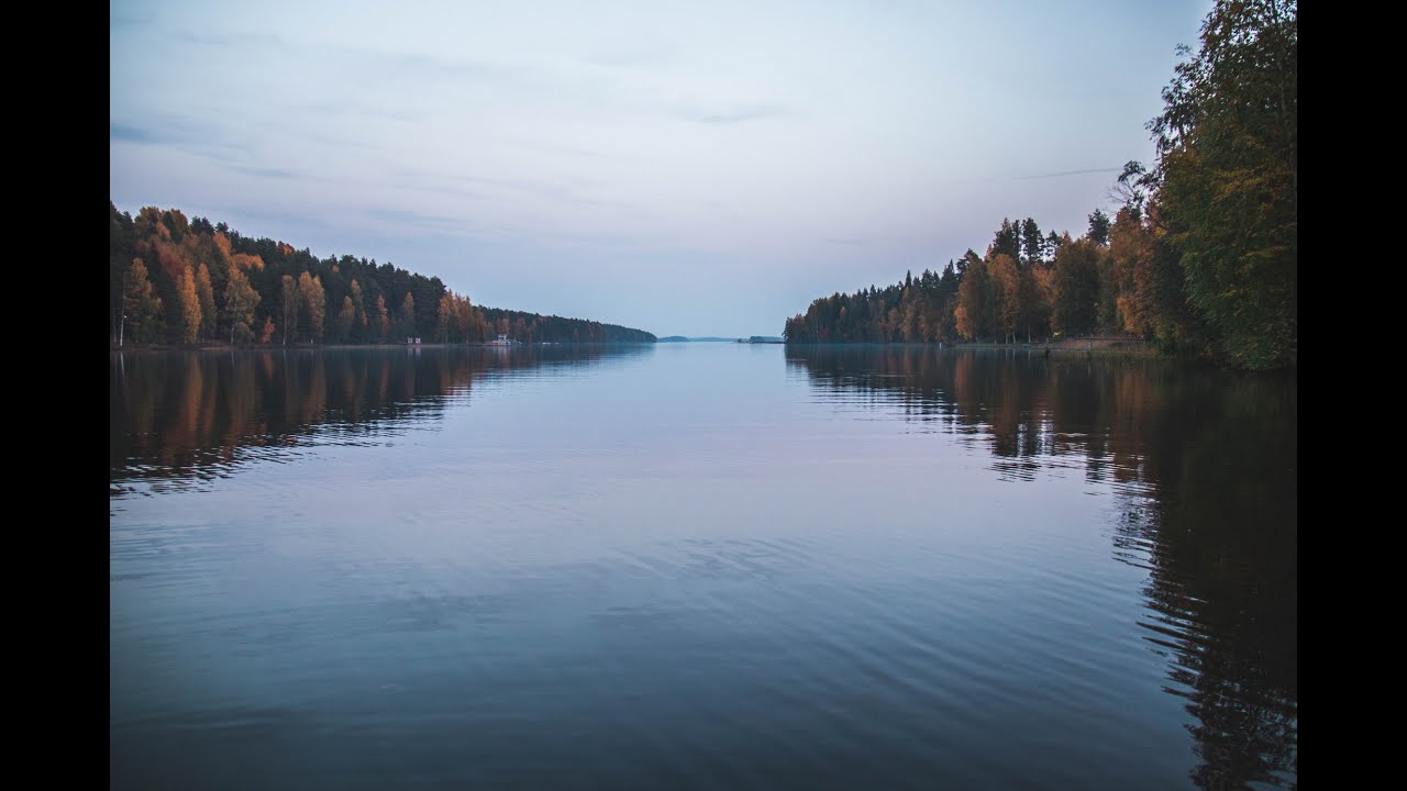 Google Developer Student Clubs (DSC) Lead Application 2023 | Sajjad Taghilou