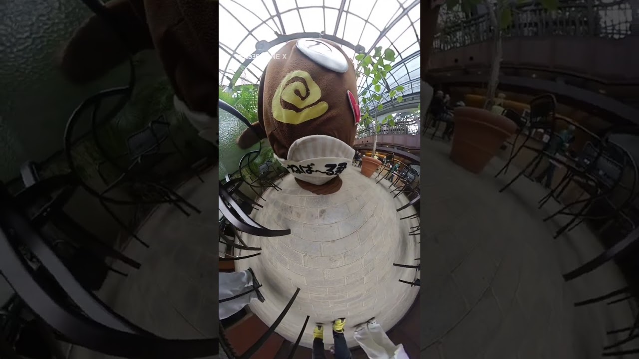 【頑張って 元ネタ / 轟はじめ】ねばーる君  #insta360 #funny #prank #ねばーる君 #funny #ibaraki