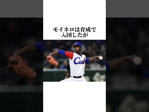 モイネロに関する雑学 #雑学 #モイネロ #ソフトバンクホークス