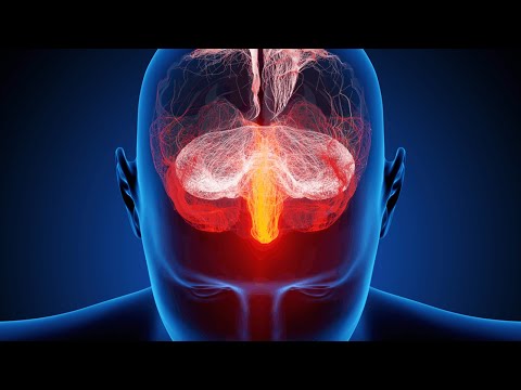 NEOCORTEX MAXIMUM BRAIN ACTIVATION.