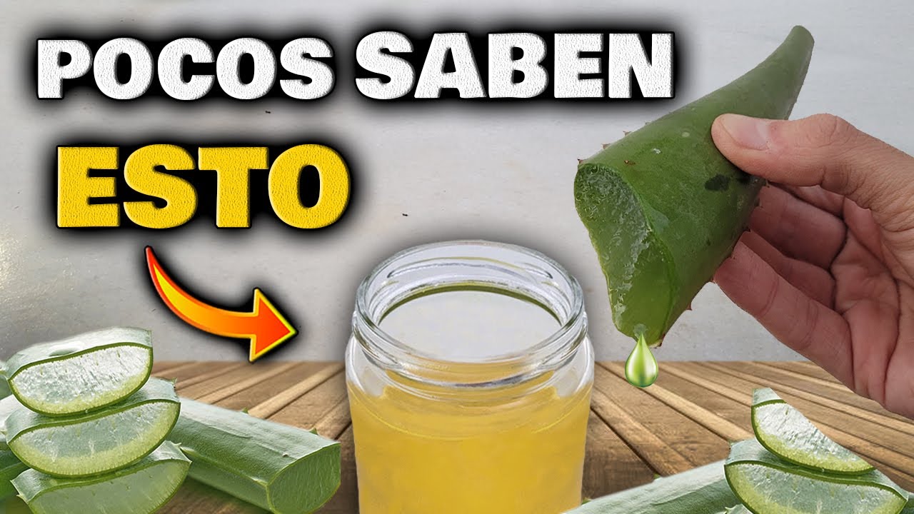 Piel PERFECTA sin MANCHAS ni ARRUGAS | Cómo hacer ACEITE de ALOE VERA o SABILA | Gel de Aloe Vera