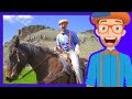 A Day On The Ranch For Kids Blippi Axe Family Videos For Children