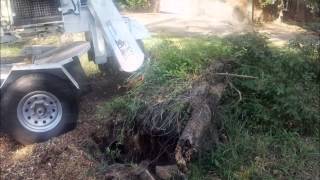 preview picture of video 'Taylor Tree Co. Stump Grinding, Stump Removal, Long Beach, Mississippi'