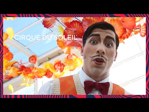 KURIOS - Cabinet of Curiosities | Soon in Seattle | Cirque du Soleil