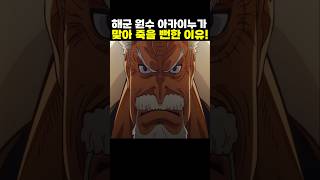 👉해군 원수 아카이누가 맞아 죽을 뻔한 이유! (원피스 명장면)