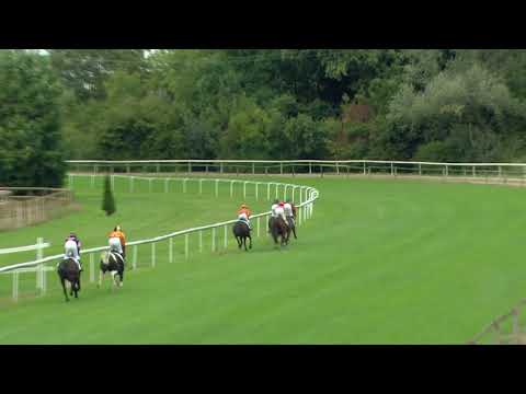 Dielsdorf 27 09 2020 Preis der Firma Intool AG   Poneys D