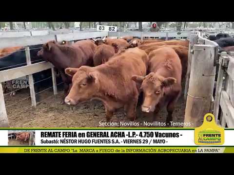 DE FRENTE AL CAMPO junto al SECTOR PRODUCTIVO - NHF S.A. -VIERNES 29 /MAYO-PARTE 2-