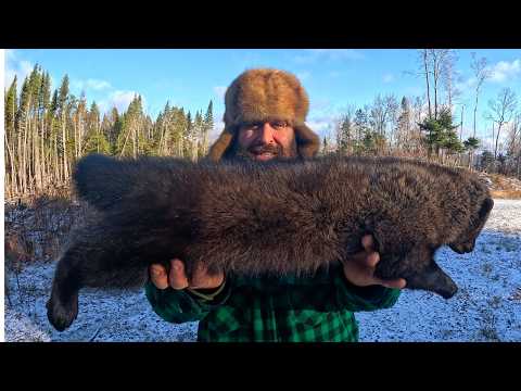 Fisher and Marten Wilderness Trapping in Maine : 15