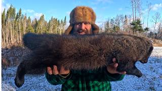 Fisher and Marten Wilderness Trapping in Maine : 15