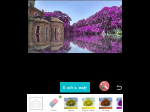 Coloring books for adult on your real photo Video