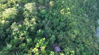 Bohol dji drone zip line place