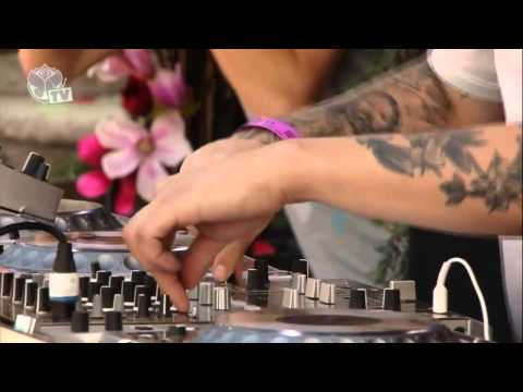 Tomorrowland 2013 - Steve Angello