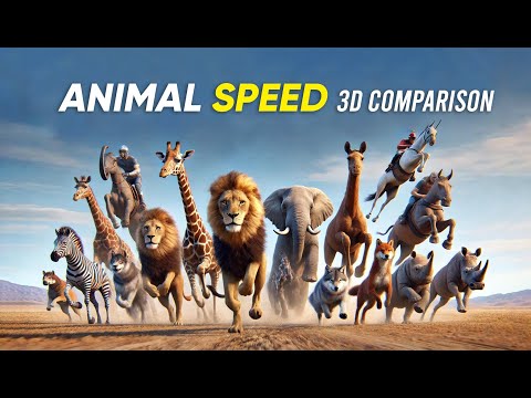 Ultimate Animal Speed Race : 3D Comparison 🐇🐢🐎🐶🏁💨