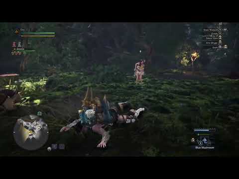 Guide for guiding lands