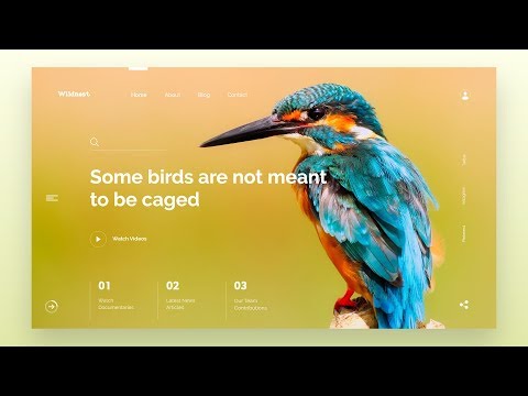 Web Design In Adobe XD | How To Make Website UI Design Using Adobe XD