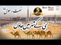 Best Naat 2020 | Nabi Kay Shehar Main Jaon | Hafiz Abdur Razzaq | Islamic Releases