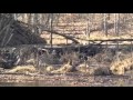 Bays Mountain Hike 2 28 2016