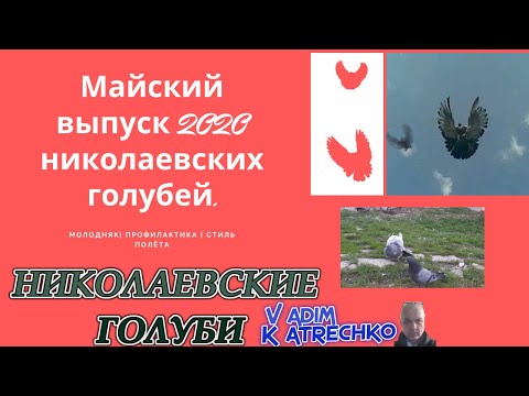 Майский выпуск о николаевских голубях с подробностями