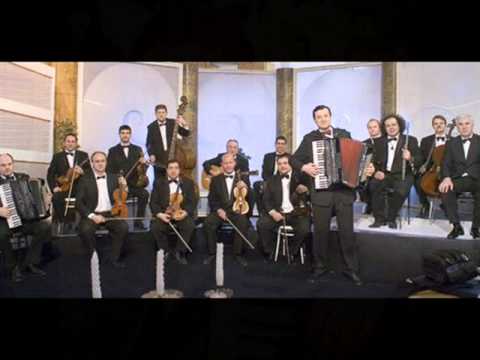 VNO i Ljubisa Pavkovic - Bolna lezi dilber Tuta