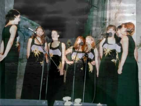 Klapa Viola - Nisu za te bili dvori