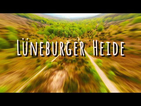 Lüneburger Heide Wilseder Berg von oben 4K