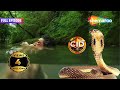 Jungle Series Deadly Cobra Attack In The Forest First Part CID Abhijeet Daya 23 03 2023