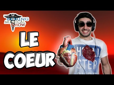 ANATOMIE : LE COEUR 🫀