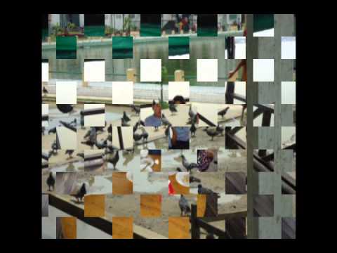 ko al nar sheet zay chin ( naing lin )