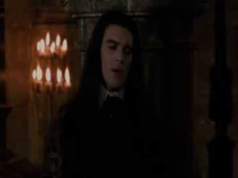 Vampir Chronik Verarsche-Das V**** Wort