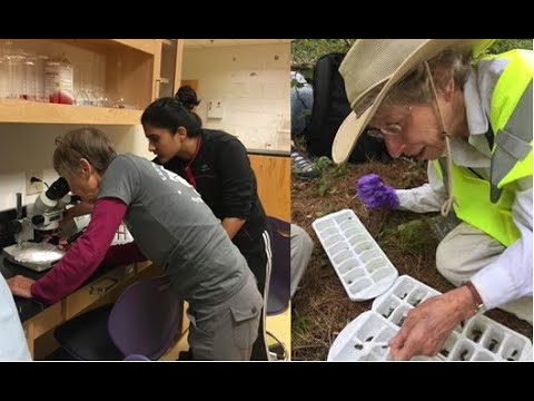 Everyone Counts! Citizen Science and the Power of Crowds!