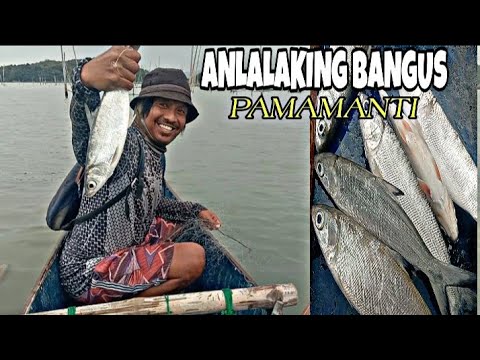 ANLALAKI NG HULI NATING BANGUS NGAYON MGA BRO. DAMI DIN NATING HULING BASURA 😭