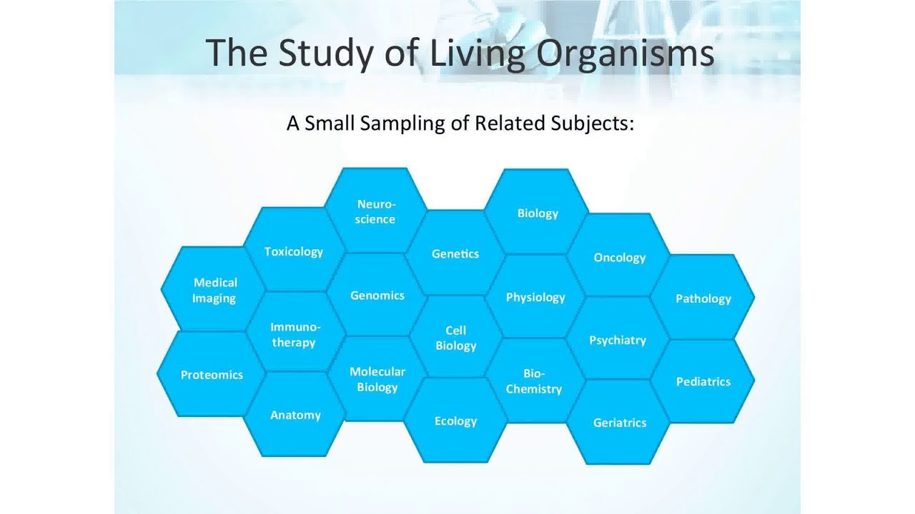 Life Sciences Project Management 101