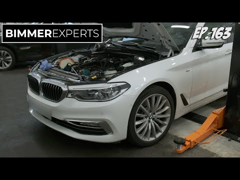 Bimmer Experts, Ep.163 - BMW 530d (G31) 100.000 km után szívósor csere? / E34 M5 Itt tartunk most!