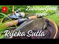 Zaboravljene Vode Rijeka Sutla Ribolov Klena Voblerima