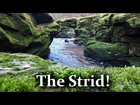 The Most Dangerous Stretch of River in the World?  The Strid.